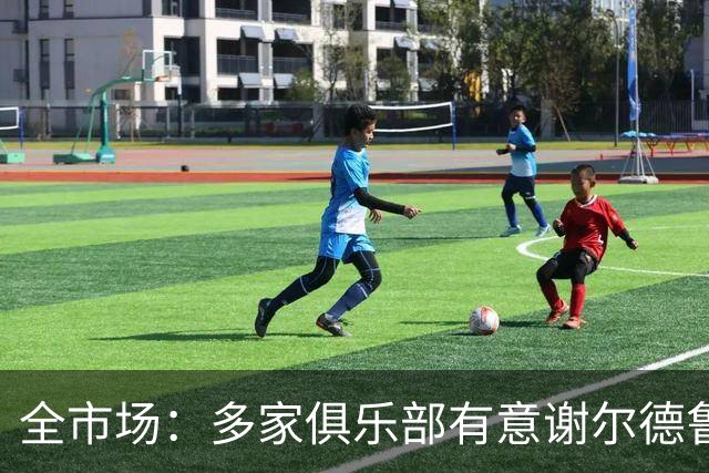 全市场：多家俱乐部有意谢尔德鲁普，利物浦、热刺、马竞都在关注