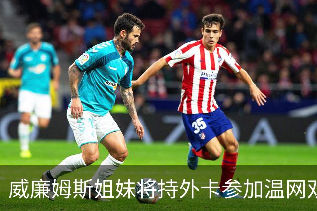 威廉姆斯姐妹将持外卡参加温网双打比赛
