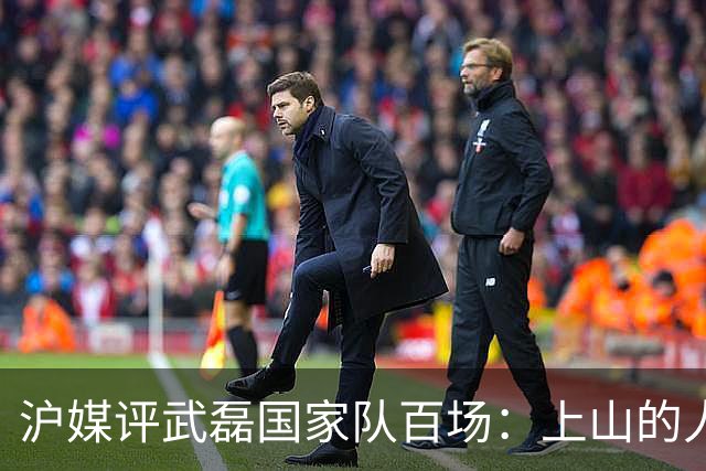 沪媒评武磊国家队百场：上山的人没资格嘲笑下山的“神”