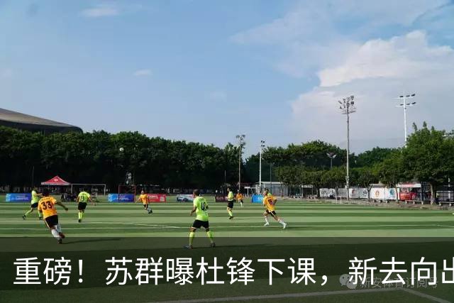 重磅！苏群曝杜锋下课，新去向出炉，球迷喊话杨鸣接手，能行吗？